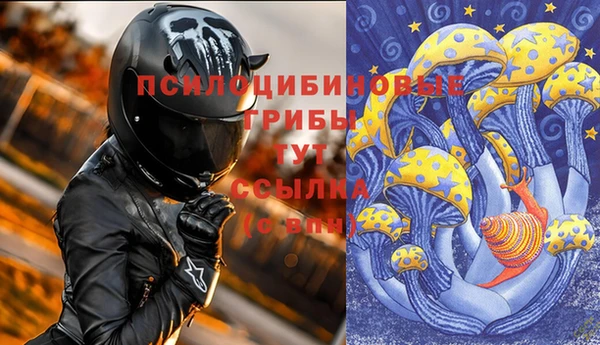 гидра Армянск